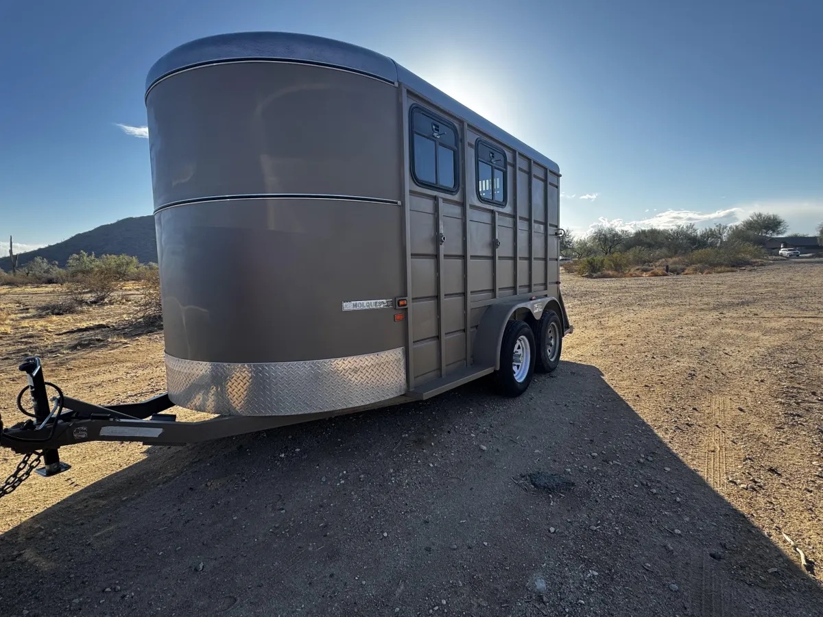 Desert Roots Rentals two-horse bumper-pull trailer in the Arizona desert near Buckeye